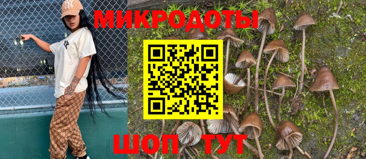 Псилоцибиновые грибы мицелий Калуга